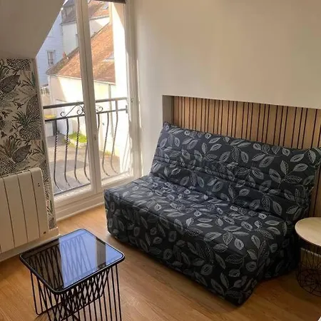 Duplex Hypercentre Au Calme Avec Parking * Fontainebleau